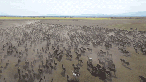 flip clock screen background of Ten thousand horses galloping(GIF)